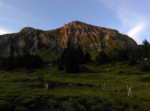 2019 Abendwanderung Palfries