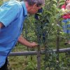 2019 Grillplausch in Sevelen