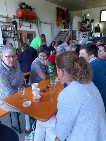 Vereinsausflug 2019 mit den Seveler Landfrauen ins Zugerland